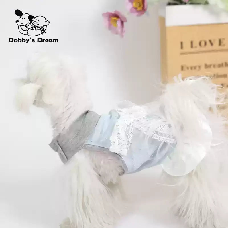 New Summer Lace Dress For Pets