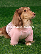 Pet-Themed German-Style Color-Blocked Striped T-Shirt