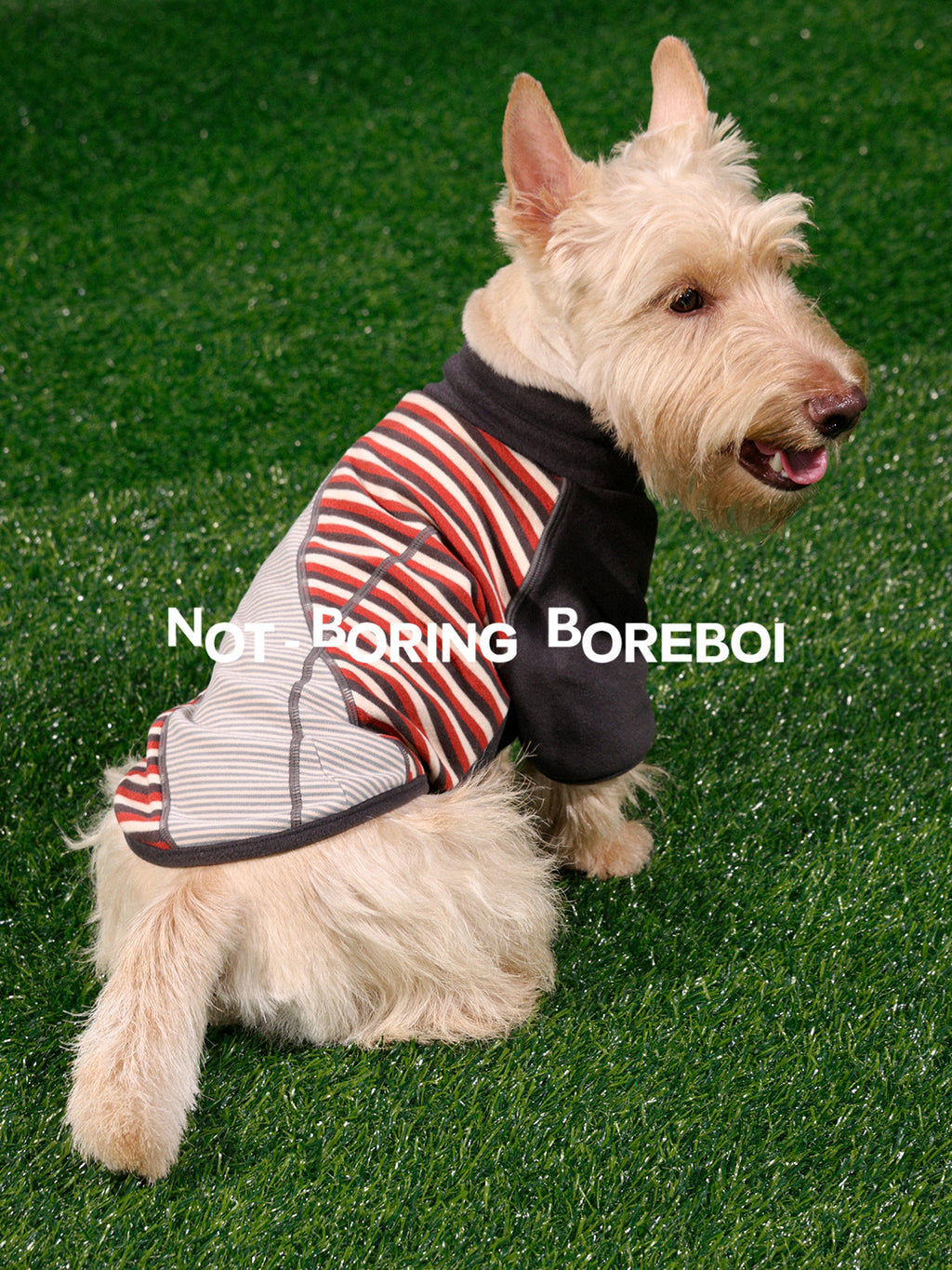 Pet-Themed German-Style Color-Blocked Striped T-Shirt