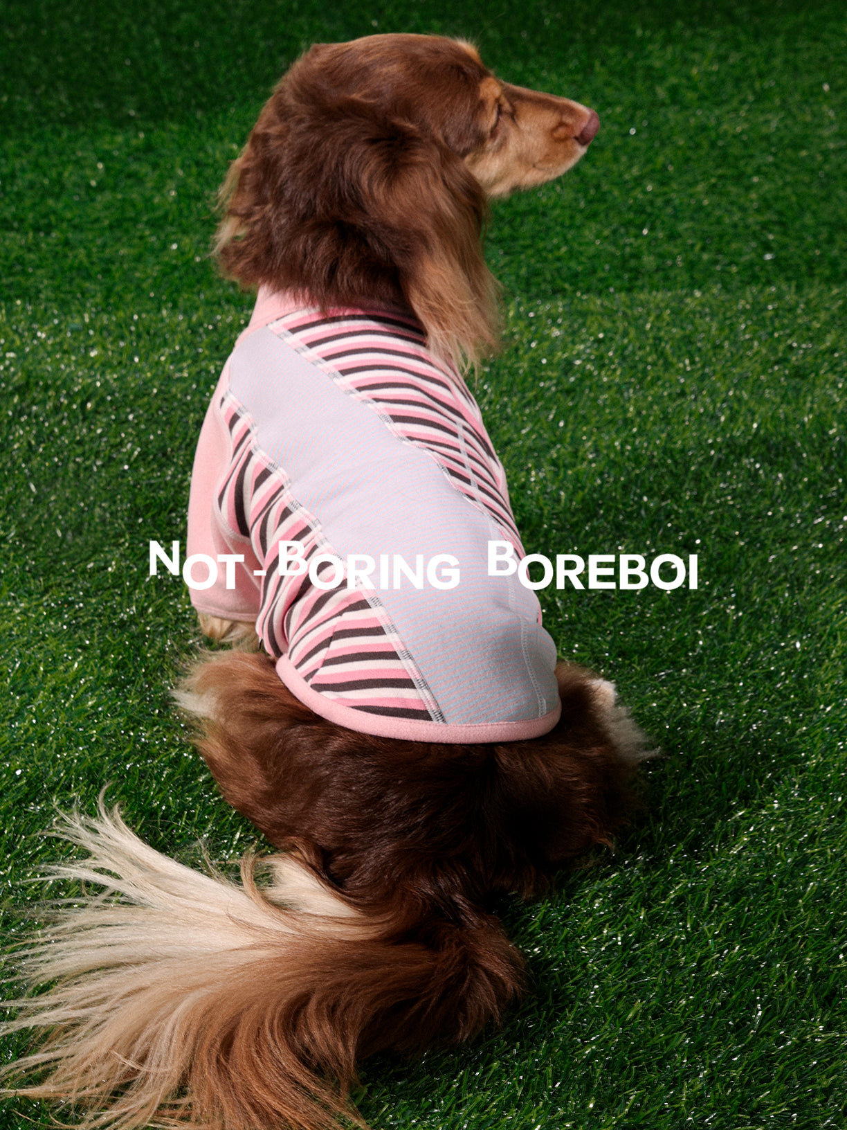 Pet-Themed German-Style Color-Blocked Striped T-Shirt