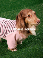 Pet-Themed German-Style Color-Blocked Striped T-Shirt