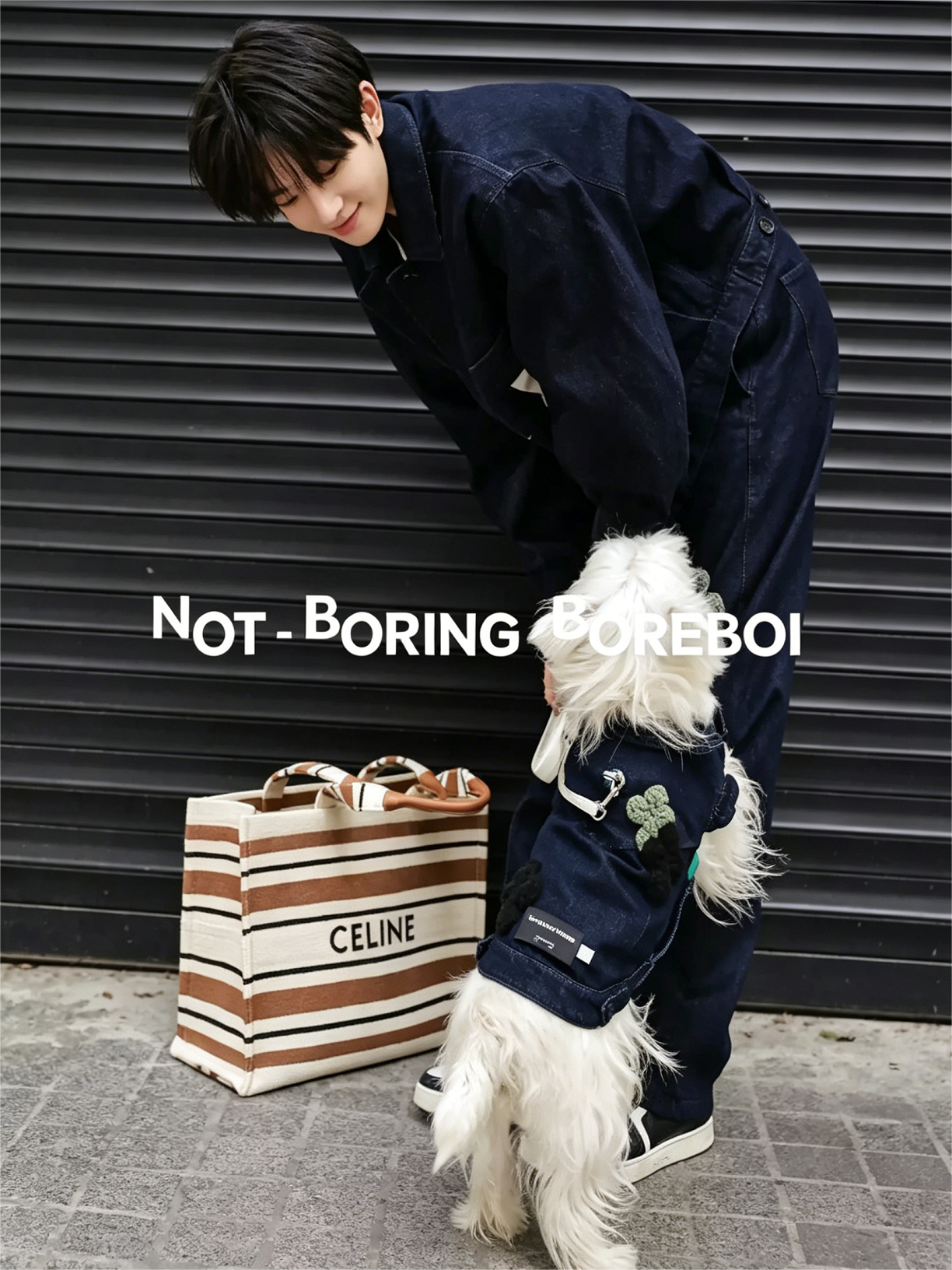 Pet Denim Jacket Clothing