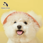 Pet Dog Cat Sunscreen Hat