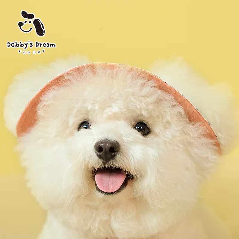 Pet Dog Cat Sunscreen Hat