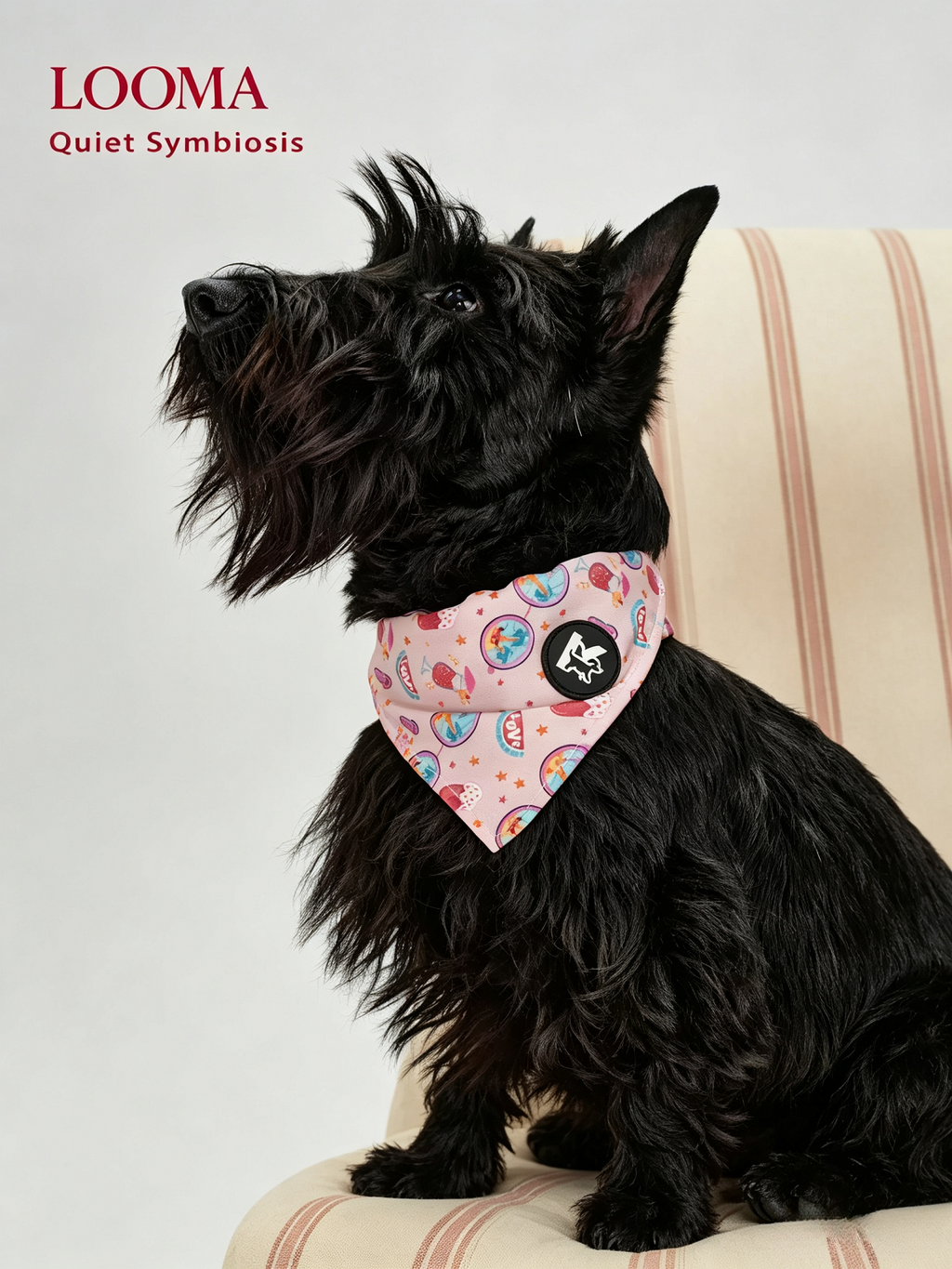Pet Fashion Triangular Drool Towel