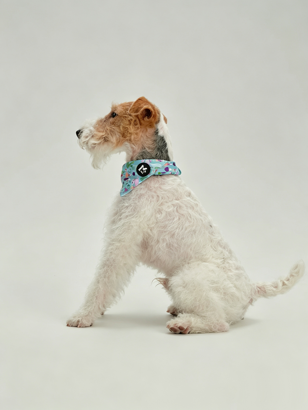 Pet Fashion Triangular Drool Towel