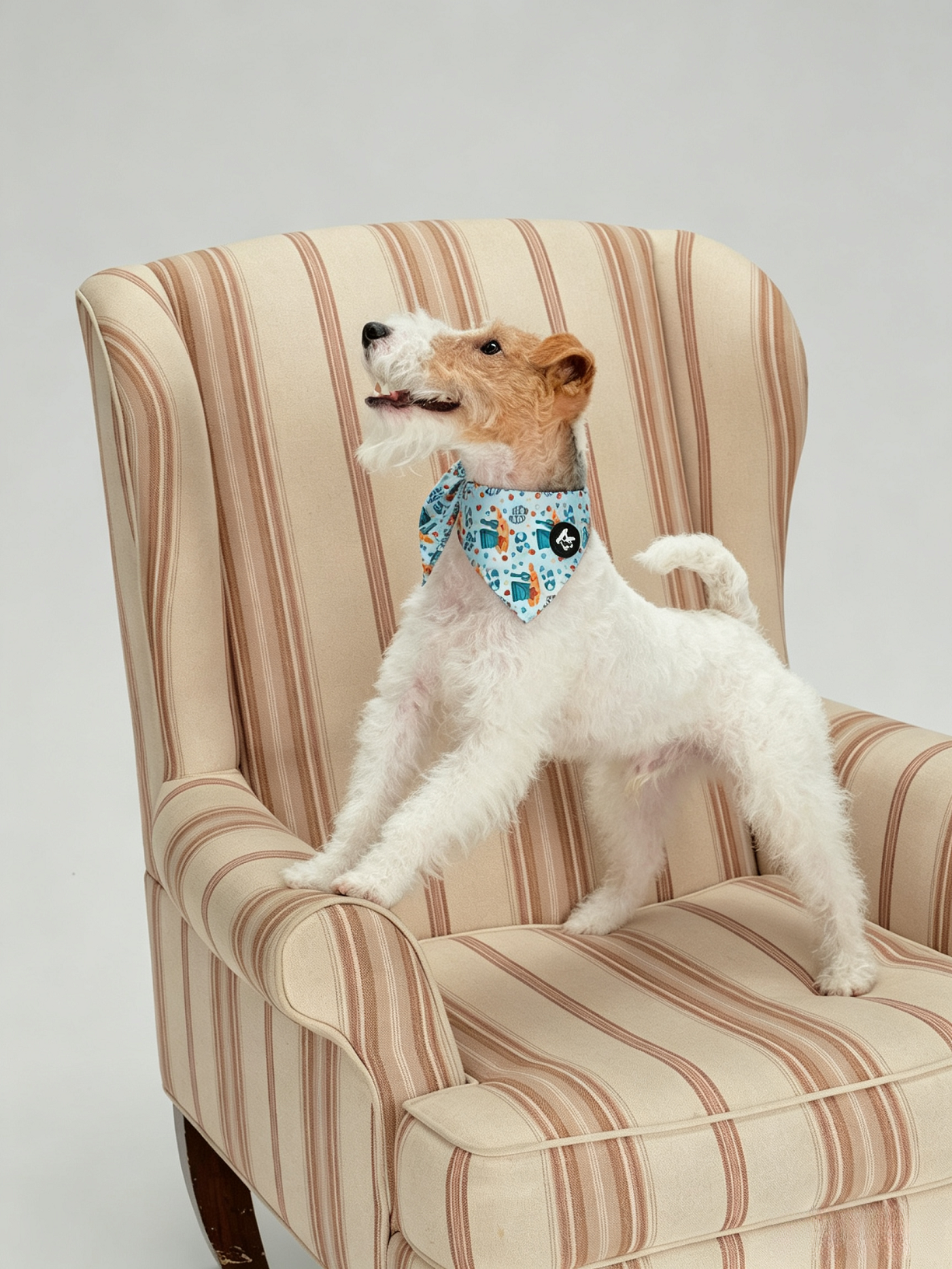 Pet Fashion Triangular Drool Towel