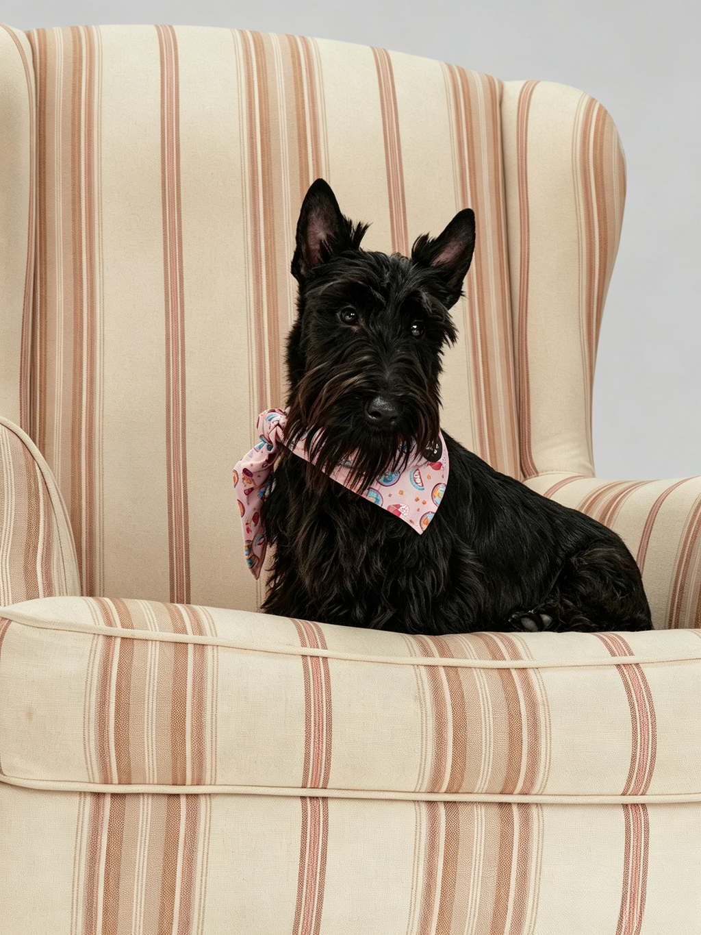 Pet Fashion Triangular Drool Towel