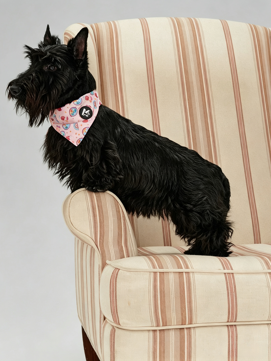 Pet Fashion Triangular Drool Towel
