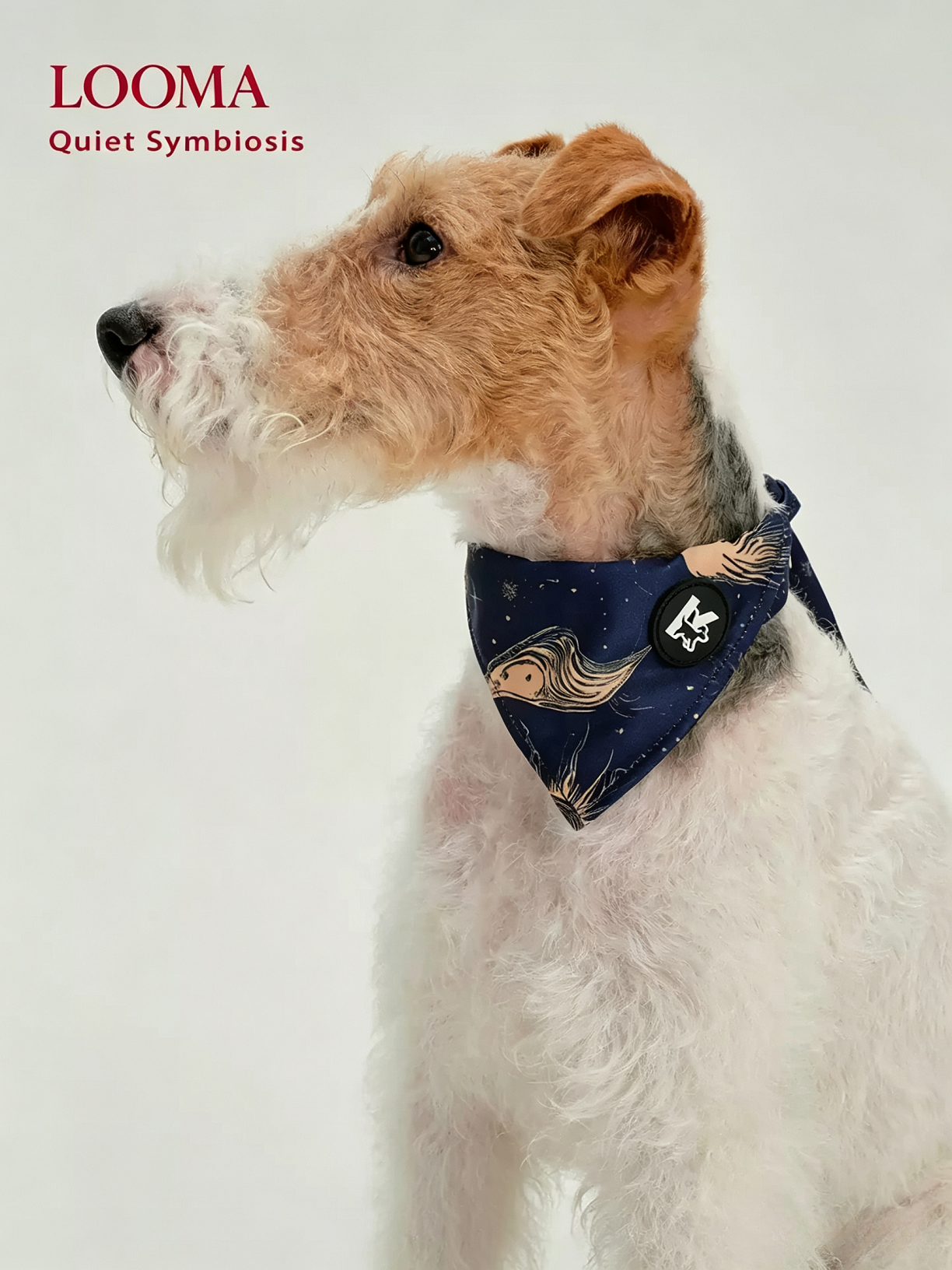Pet Fashion Triangular Drool Towel