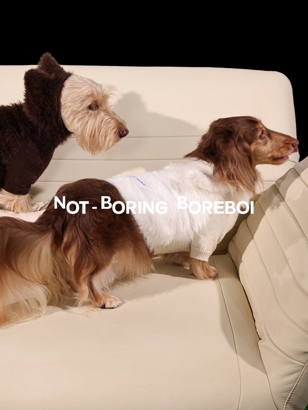 Pet Faux Mink Fur Patchwork Hooded Sweater