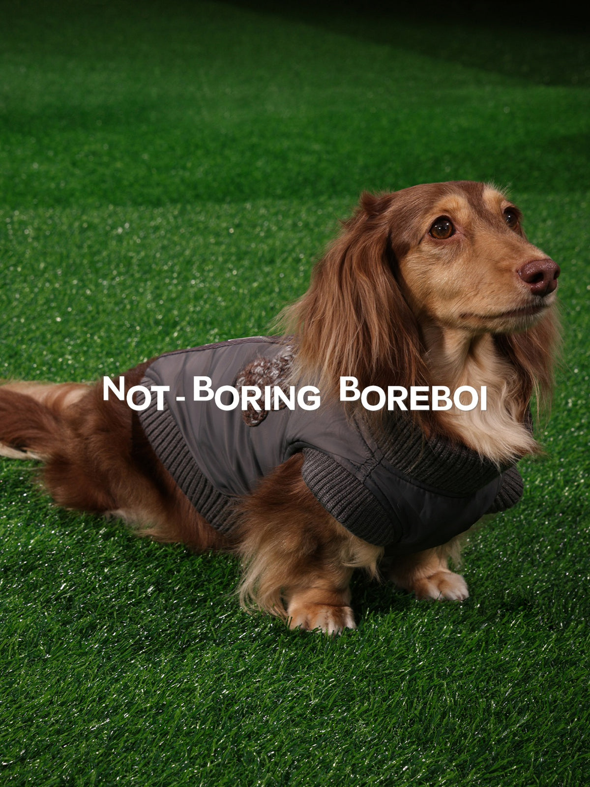 Pet Plaid Bomber Coat