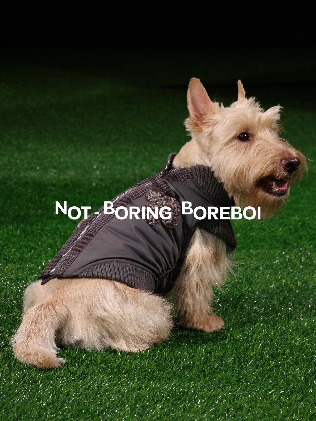 Pet Plaid Bomber Coat