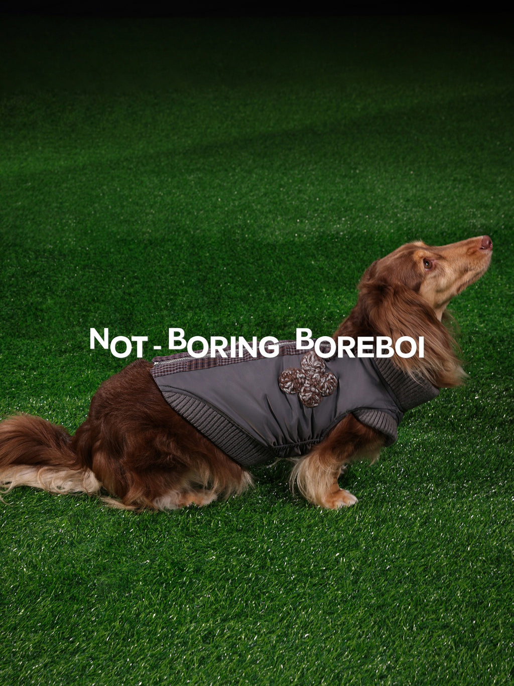 Pet Plaid Bomber Coat