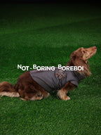 Pet Plaid Bomber Coat