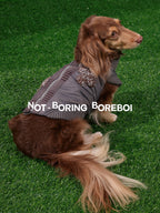 Pet Plaid Bomber Coat