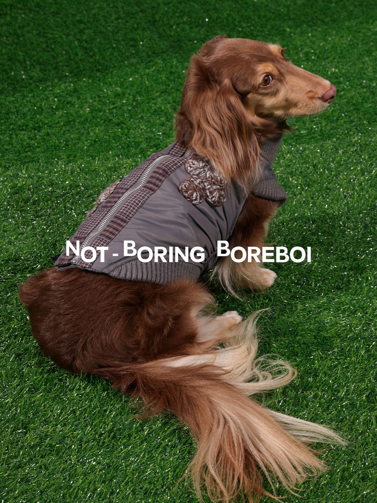 Pet Plaid Bomber Coat