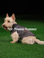 Pet Plaid Bomber Coat