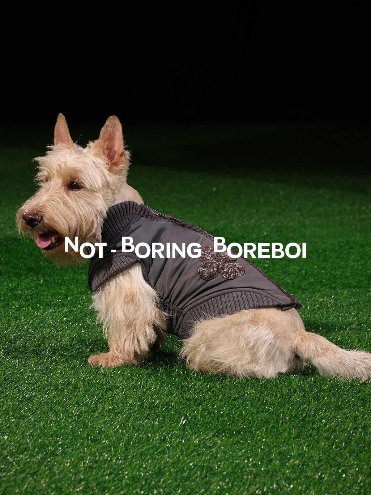 Pet Plaid Bomber Coat
