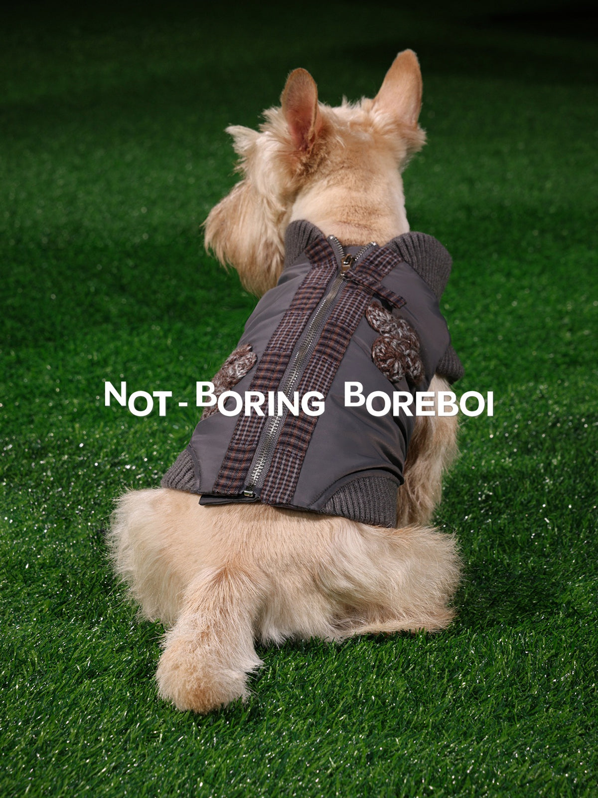 Pet Plaid Bomber Coat