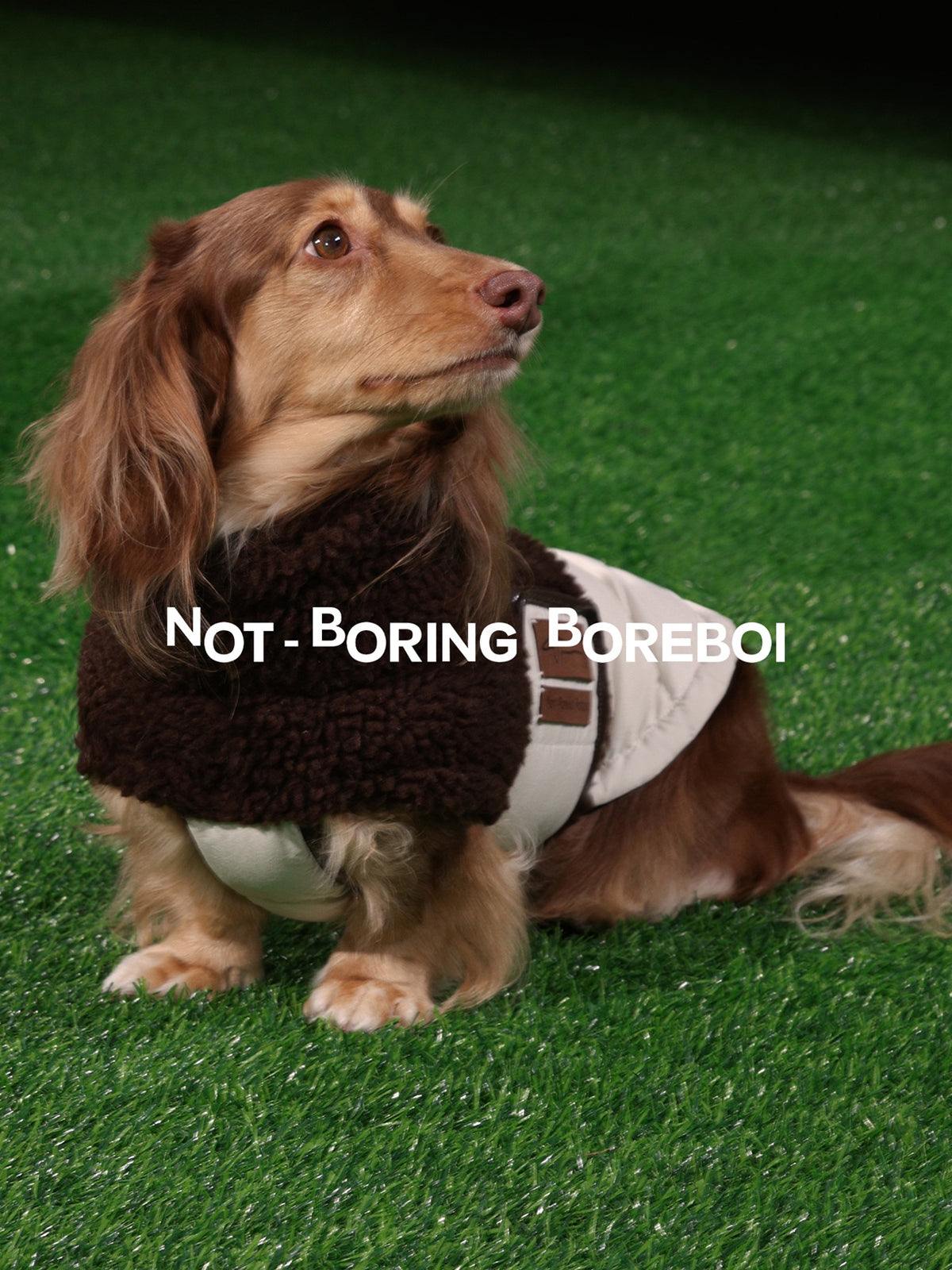Pet Plush-Paneled Down Vest