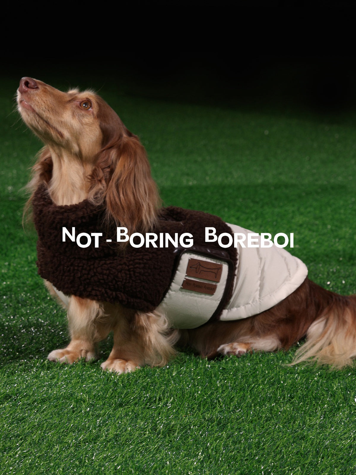 Pet Plush-Paneled Down Vest