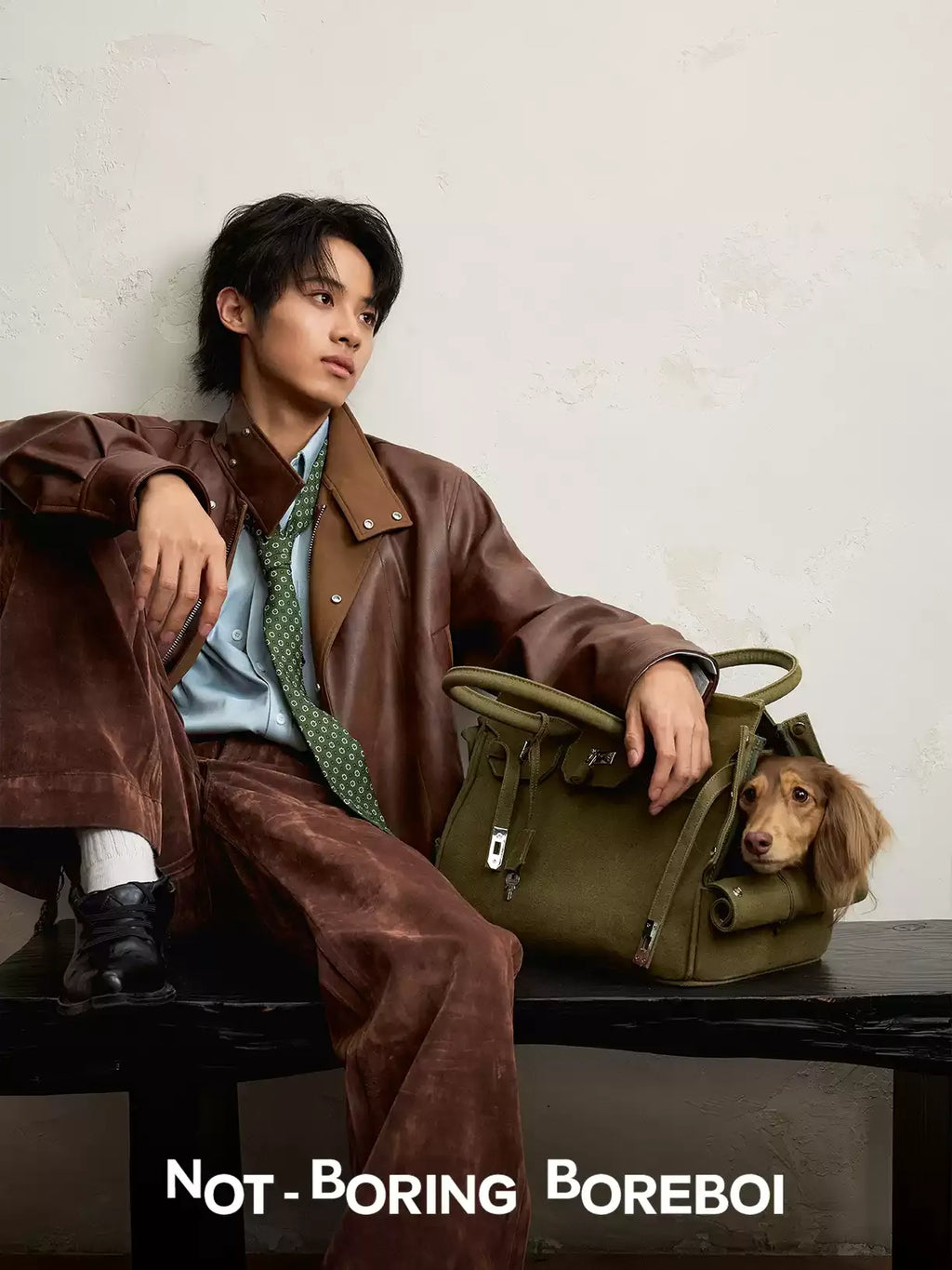 Pet Portable Travel Bag
