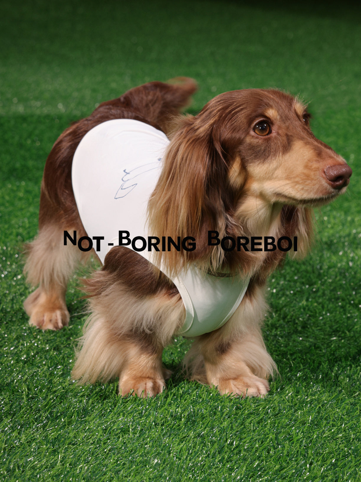 Pet Print Cooling Clothes