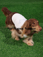 Pet Print Cooling Clothes