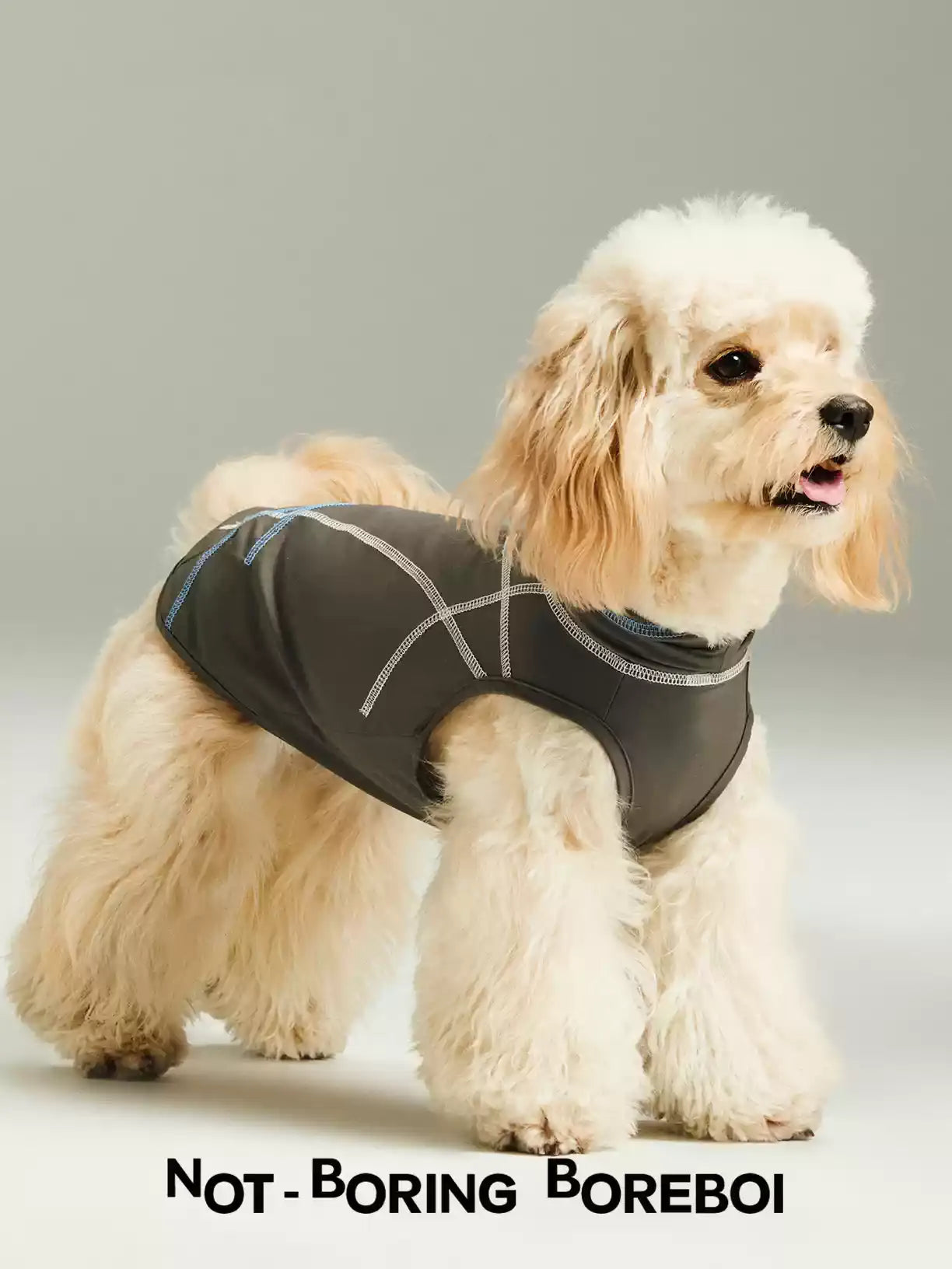 Pet Quick Drying Cool Feeling Sunscreen Cool Vest High Elasticity Thin Clothes