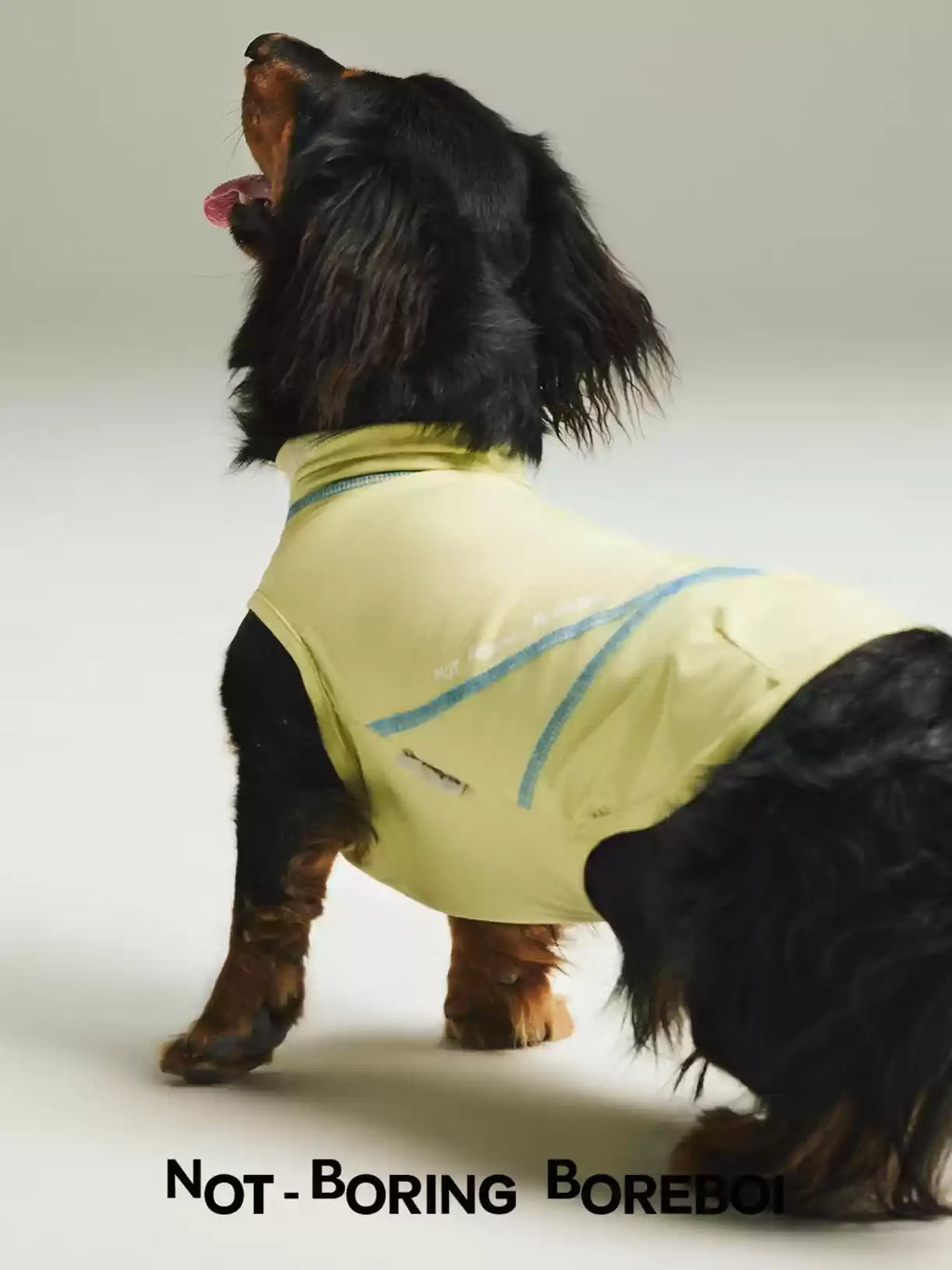 Pet Quick Drying Cool Feeling Sunscreen Cool Vest High Elasticity Thin Clothes