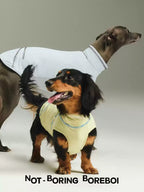 Pet Quick Drying Cool Feeling Sunscreen Cool Vest High Elasticity Thin Clothes