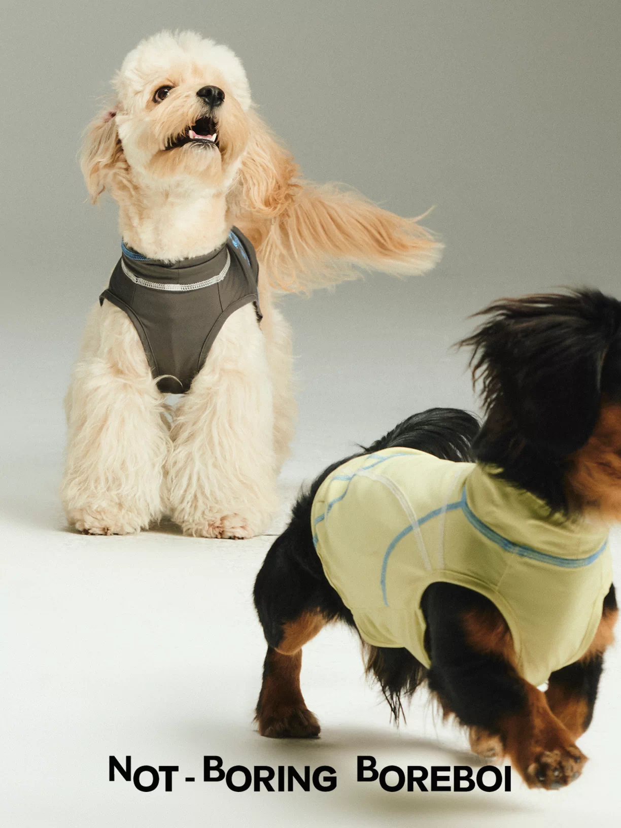 Pet Quick Drying Cool Feeling Sunscreen Cool Vest High Elasticity Thin Clothes