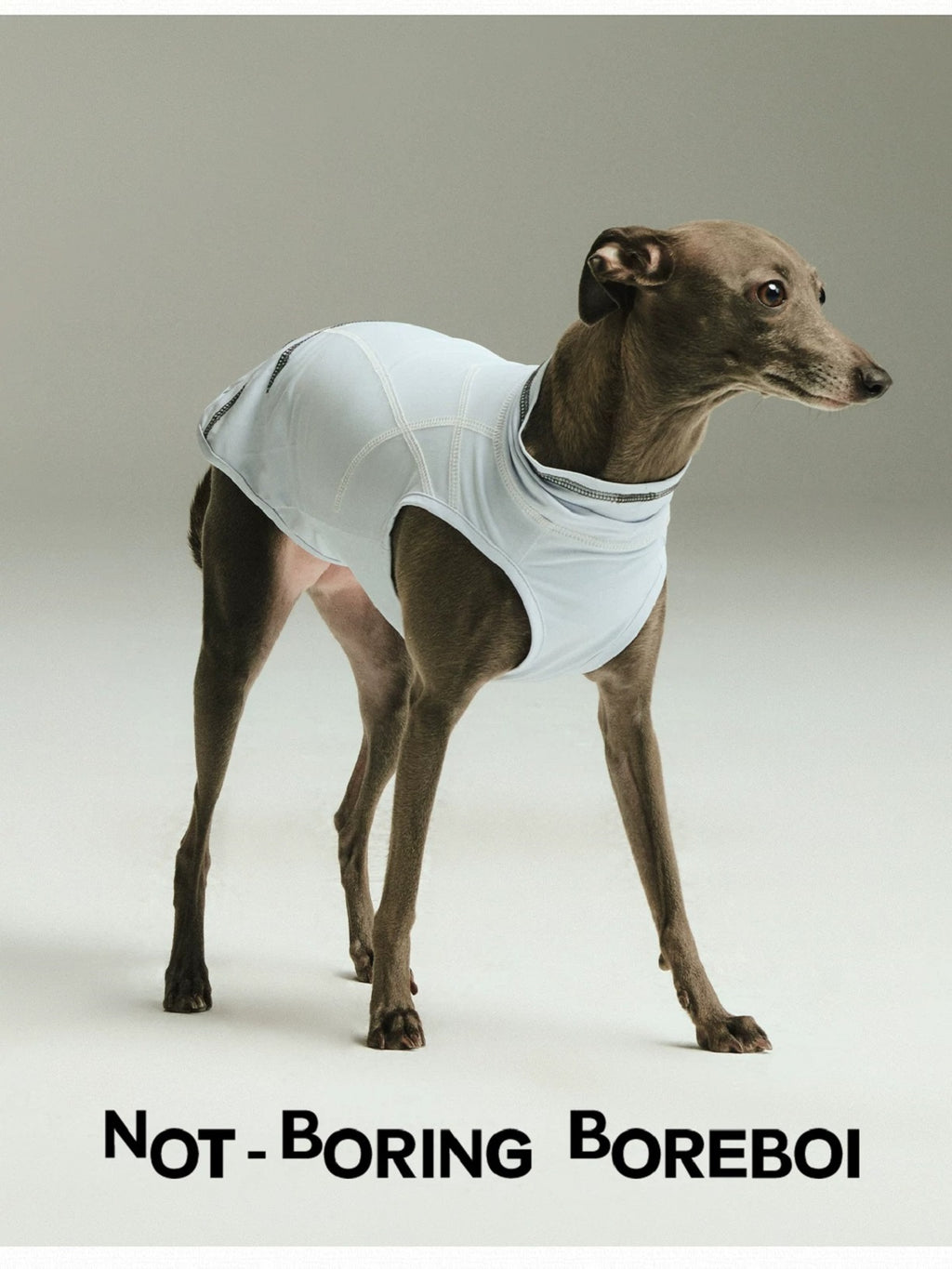 Pet Quick Drying Cool Feeling Sunscreen Cool Vest High Elasticity Thin Clothes
