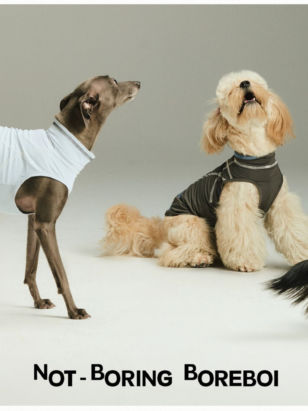 Pet Quick Drying Cool Feeling Sunscreen Cool Vest High Elasticity Thin Clothes