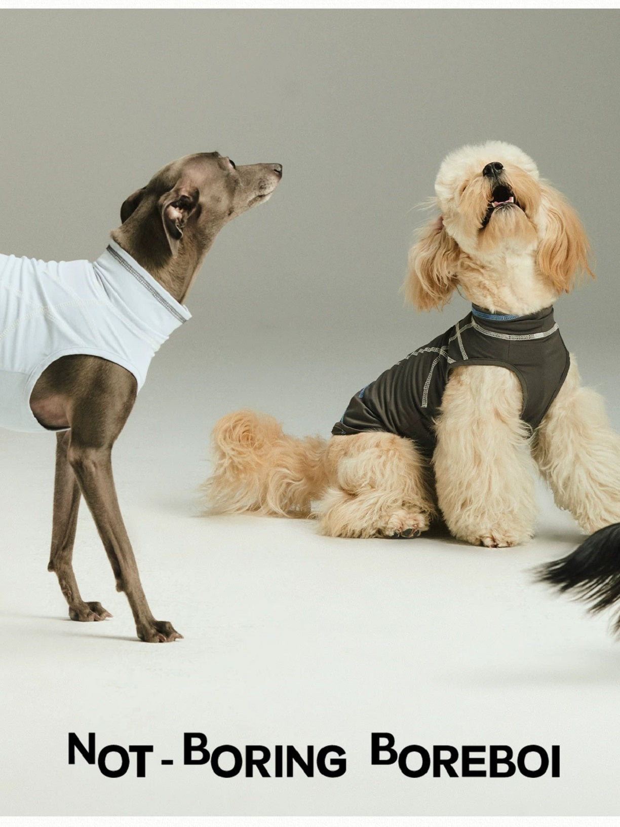 Pet Quick Drying Cool Feeling Sunscreen Cool Vest High Elasticity Thin Clothes