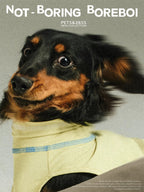 Pet Quick Drying Cool Feeling Sunscreen Cool Vest High Elasticity Thin Clothes