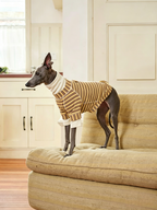 Pet Striped Cotton Undershirt