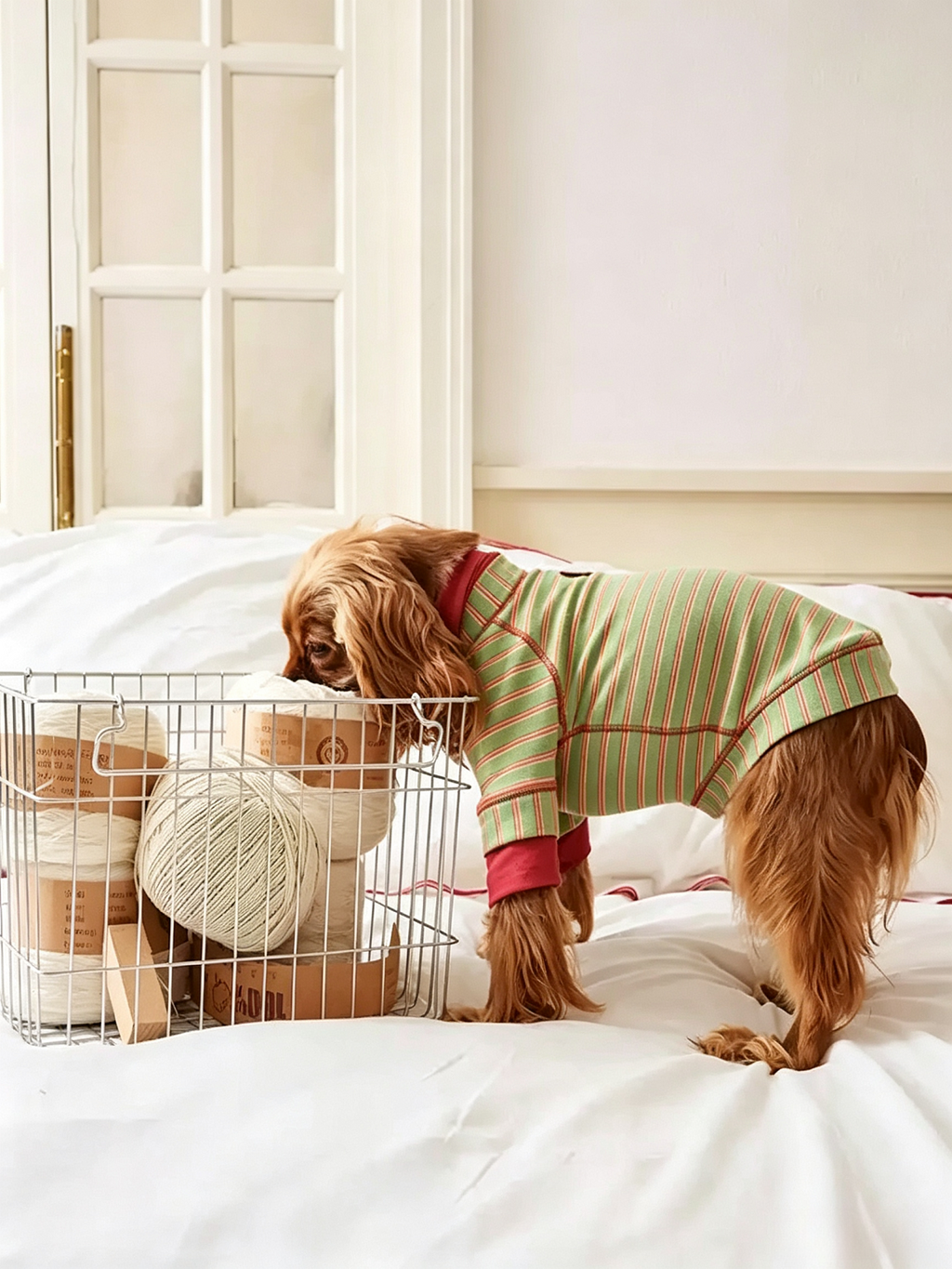 Pet Striped Cotton Undershirt