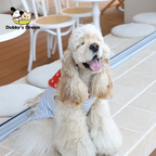 Pet Summer New Navy Striped Breathable Cool Elastic Vest Home Clothing