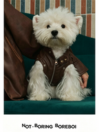 Pet Retro Leather Jacket