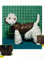 Pet Retro Leather Jacket