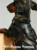 Pet leather harness