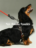 Pet leather harness