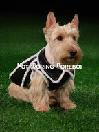 Pilot-Style Pet Pu Leather Jacket