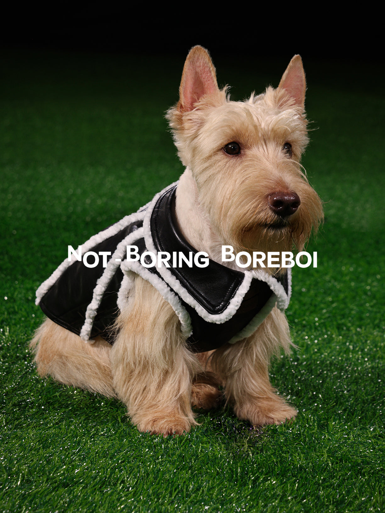 Pilot-Style Pet Pu Leather Jacket