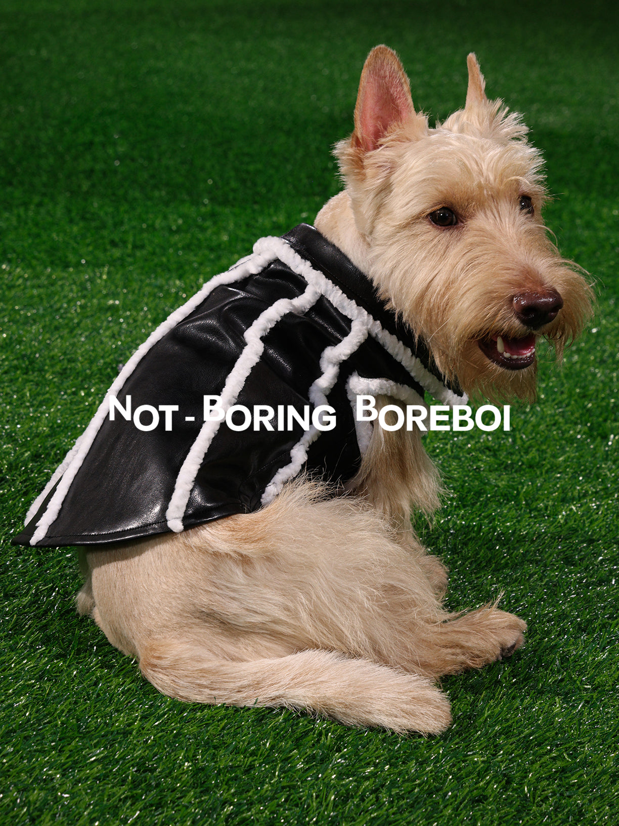 Pilot-Style Pet Pu Leather Jacket