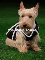 Pilot-Style Pet Pu Leather Jacket