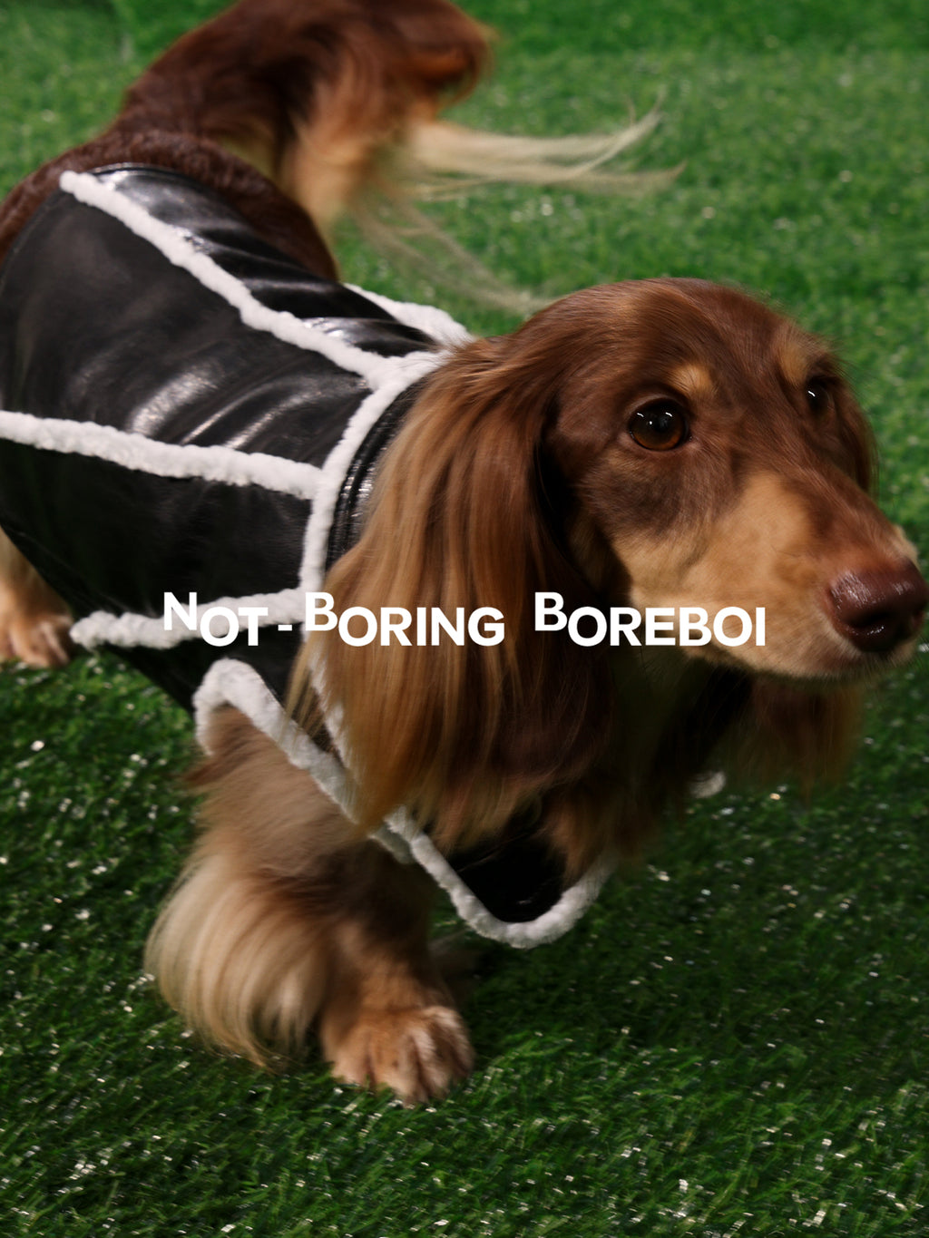 Pilot-Style Pet Pu Leather Jacket