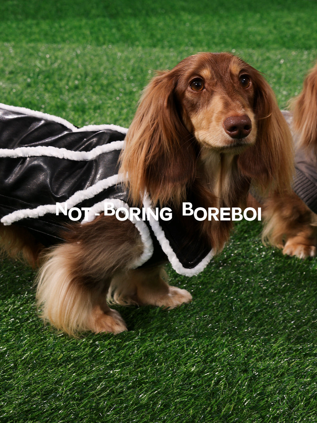 Pilot-Style Pet Pu Leather Jacket